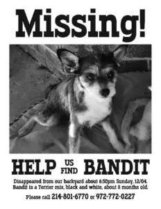 banditmissing