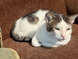 thumbnail_IMG_1143