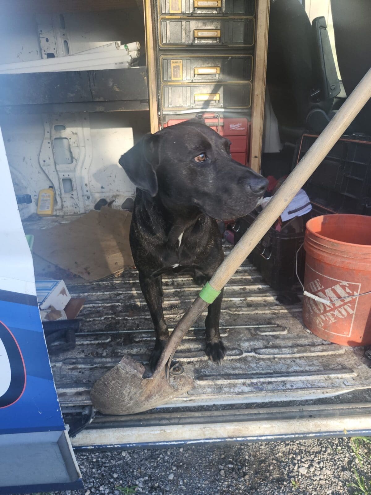 685c936e-11c2-42a8-b598-c1f49da901ae