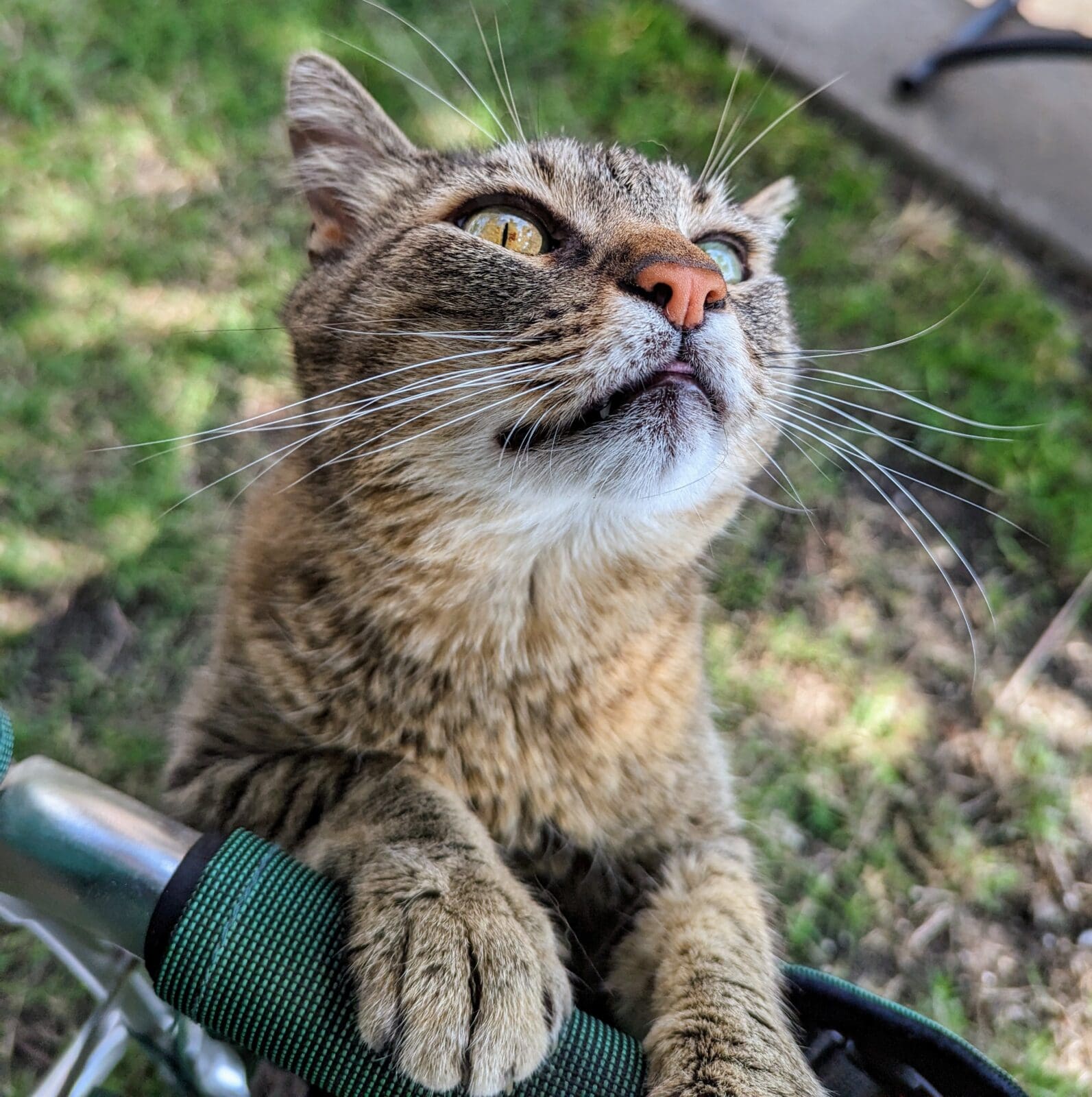 PXL_20230601_1552491912