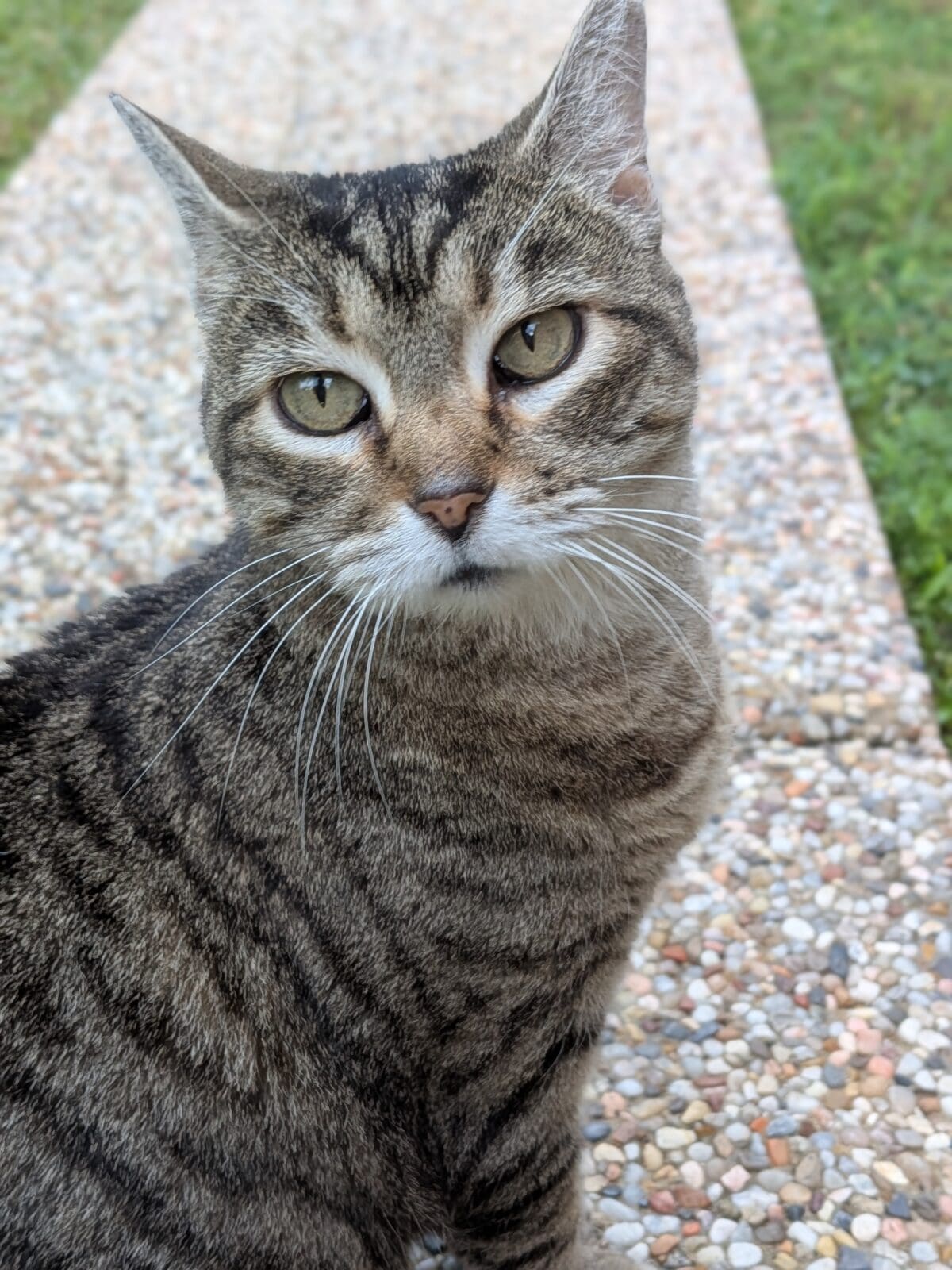 PXL_20250419_133934843.PORTRAIT