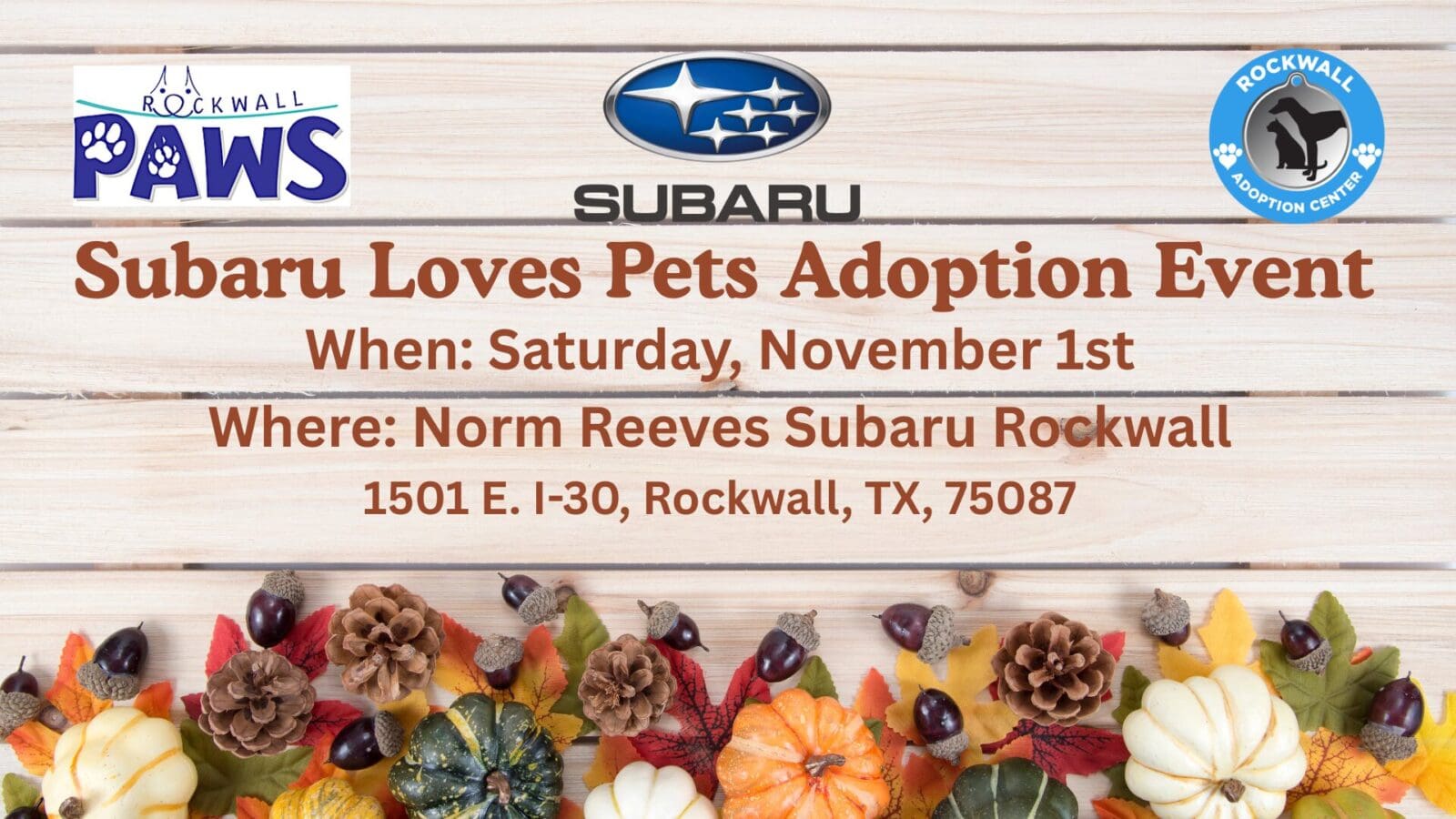 Subaru Loves Pets Adoption Event