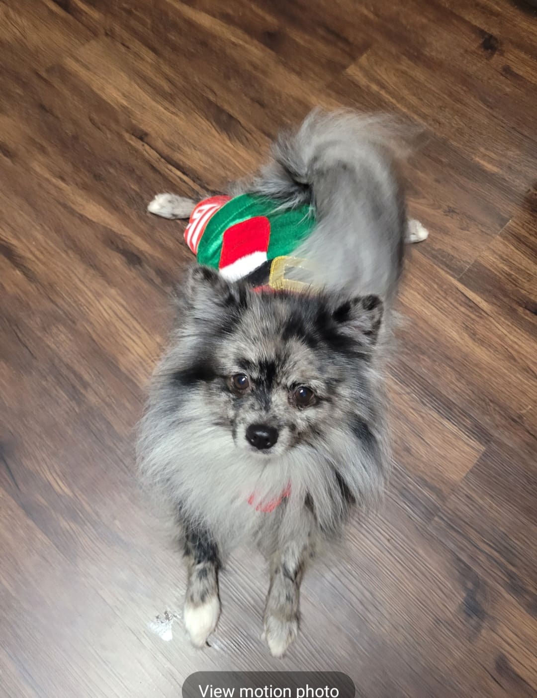 Screenshot_20251122_001256_Gallery