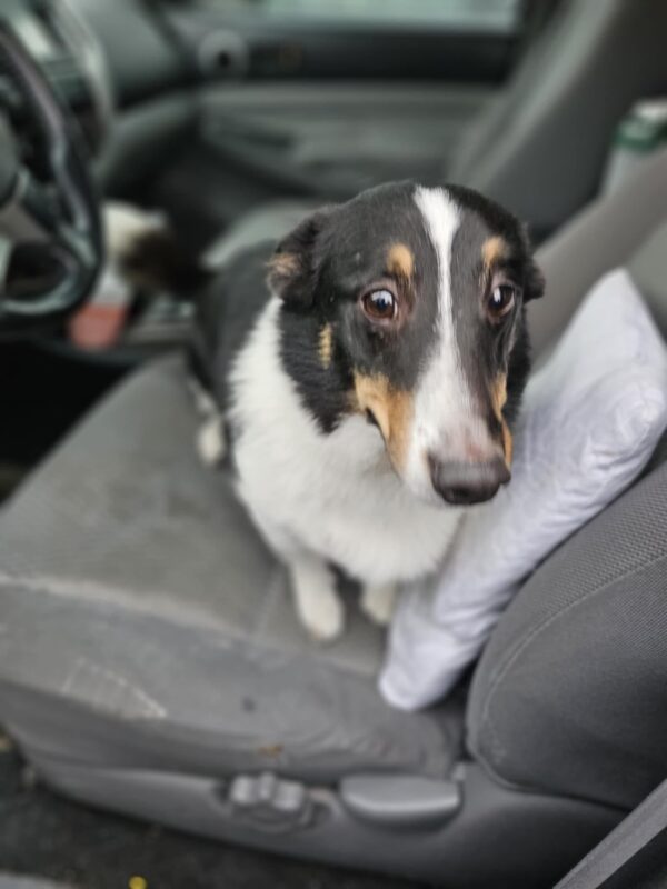 d663f941-a012-4fe4-989c-ce891b3378dc