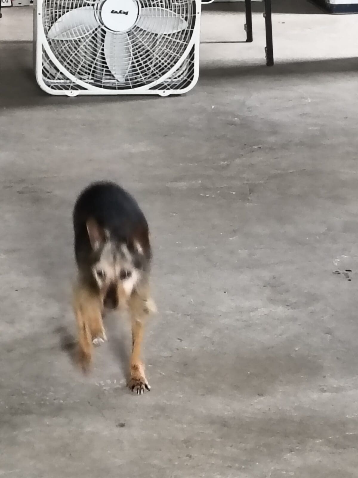 IMG_20260413_091230765_HDR